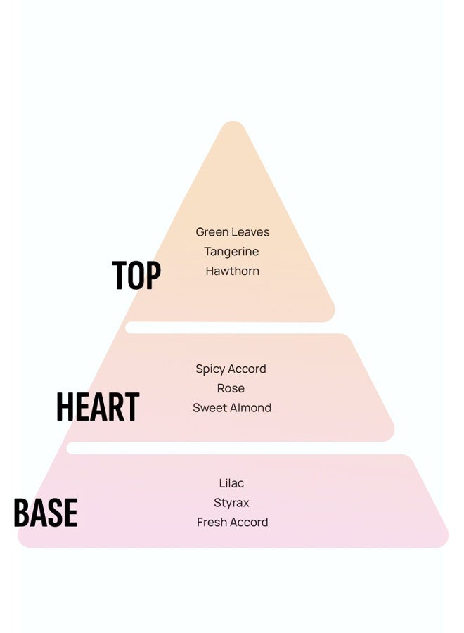 أريون معطر منزل أريون ستيكس 150 مل – تصميم جديد برائحة الليلك تدوم طويلاً - Image 3